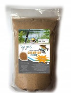 ZANĘTA RAJMS CHAMPION FEEDER EXPLOSIVE 1,5 KG
