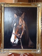 Obraz olejny, Portret konia, Tyszkiewicz 1992