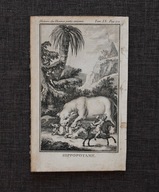 [RYCINA, MIEDZIORYT, XIX W.]