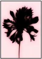 Plakat „Dream Blur” – Abstrakcyjny Plakat Artystyczny