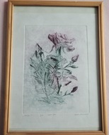 Róża - Marta Sowizdrzał / sucha igła