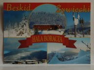 BESKID ŻYWIECKI HALA BORACZA