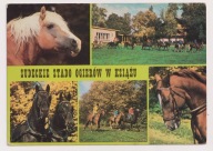 Sudeckie Stado Ogierów Książ 1985r.O wczasów konnych Dworzysko Konie l634