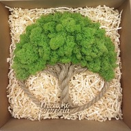 DRZEWKO SZCZĘŚCIA CHROBOTEK, doskonały prezent na każdą okazję 32cm