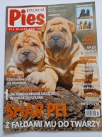 Przyjaciel Pies nr 3 2013 Shar pei + plakaty Shar pei Flat coated retriver