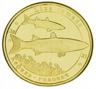 Ukraina - 1 złotnik Cefal (2021)