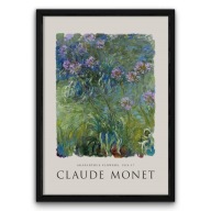 Plakat z ramą 50x70cm Claude Monet Agapanthus Flowers Kwiaty Sztuka