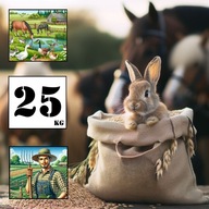 Owies paszowy ziarno 25kg - prosto od rolnika . SMART !