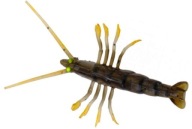 Przynęta SAVAGE GEAR 3D TPE Fly Shrimp 5cm 2.65g Olive Green krewetka