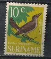 Holandia kolonie - Surinam kas 22/3 - ptaki