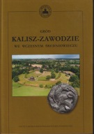 Gród Kalisz- Zawodzie we wczesnym średniowieczu ; jak nowa