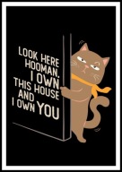 A2 ŚMIESZNY PLAKAT Z KOTEM KOT, HUMOR, LOOK HERE HOOMAN I OWN THIS HOUSE...