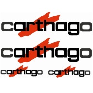 Naklejki Carthago na kampera przyczepę kempingową