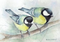 Ptak , ptaki , sikorki- akwarela z passe - partout