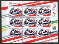 Fi 4739 ** Sukcesy polskich paraolimpijczyków-RIO ARKUSZ 2016