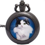 Zegarek, Naszyjnik, Wisiorek - Kot nr.542