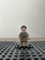 Lego Rey Star Wars sw0677 