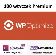 Wtyczka (Plugin) WP Optimize Premium WordPress