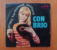 Grupa Harmonijek Ustnych Con Brio - Dwunasta Ulica