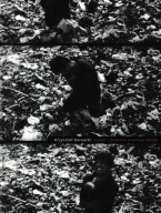 Popiół i diament Andrzeja Wajdy Krzysztof Kornacki