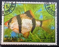 Ryby (**) - luzak - do uzupełnień 13/1