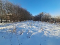 Działka, Chełm, 25000 m²