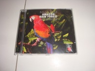 Amazon rain forest - relax with