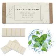 Wosk do kominka sojowy Świeży zapach do kominka - Chwila Orzeźwienia