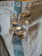 1 gr 2007 50 woreczków menniczych z parciaka