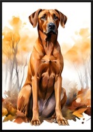 A2 59,4x42 PLAKAT OBRAZ PIES RODEZJAN RHODESIAN RIDGEBACK JESIEŃ AKWARELA