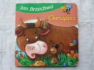 CHRZĄSZCZ JAN BRZECHWA
