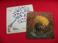 KABARET ELITA tete a tete POCZTÓWKA DŹWIĘKOWA