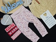 Jacky - bawełniane dresy misie r 92