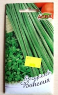 Nasiona Szczypiorek Bohemia AGRA