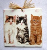 Robótkownia Kafelek obrazek 15x15 Kot Kotki trzy prawy rudy