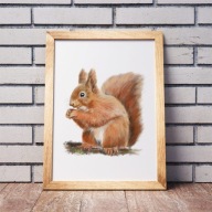 PLAKAT A3 WIEWIÓRKA las zwierzęta leśne MONTESSORI do pokoju dziecięcego