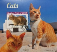 T.0221 BLOCZEK *FAUNA KOTY DOMOWE RASY zwierzęta domowe, Malediwy