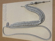 Sznur Oficerski naramienny wojska lądowe wz. 71