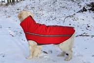 Kurtka przeciwdeszczowa dla psa, softshel dla golden retrivera