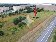 Działka, Chojnów, Legnicki, 2005 m²