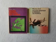 KRÓL-POLSKIE SKRZYDŁA NAD FRANCJĄ + W INWAZJI /II WOJNA LOTNICTWO SAMOLOTY