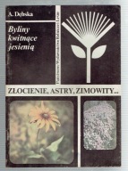 OGRODNIK AMATOR Dębska ZŁOCIENIE, ASTRY, ZIMOWITY