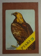 KOLOROWANKA Z PRL - PTAKI 3 - PRODRYN RACIBÓRZ