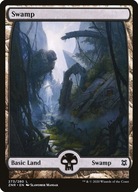 Karta Magic: The Gathering Swamp 273 FullArt ZNR