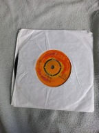 Rudy Mills - Tears on My Pillow 45 rpm PAMA reggae