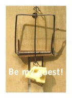 Pocztówka - Kawałek sera i łapka na myszy