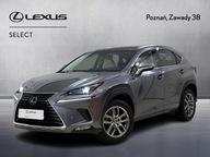Lexus NX 300 Comfort AWD I (2014-2021) Lexus NX 30