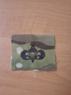 Naszywka US ARMY OCP