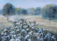 Akwarela Sabina Salamon 28x38 pejzaż łąka pod lasem