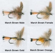 Sucha muszka MARCH BROWN - odmiany - #10; 12